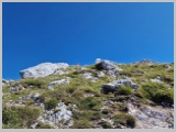 Slika_074.webp