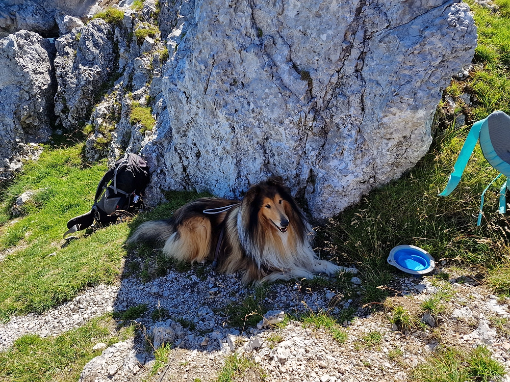 Kofce gora, Veliko Kladivo, 9. 8. 2025