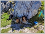 Slika_076.webp