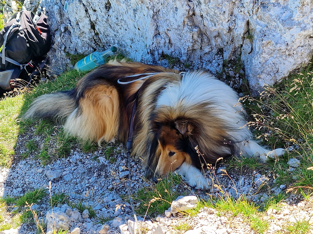 Kofce gora, Veliko Kladivo, 9. 8. 2025