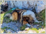 Slika_077.webp