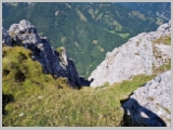 Slika_086.webp