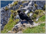 Slika_088.webp