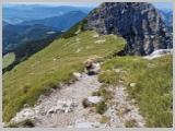 Slika_101.webp