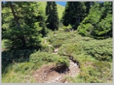 Slika_109.webp