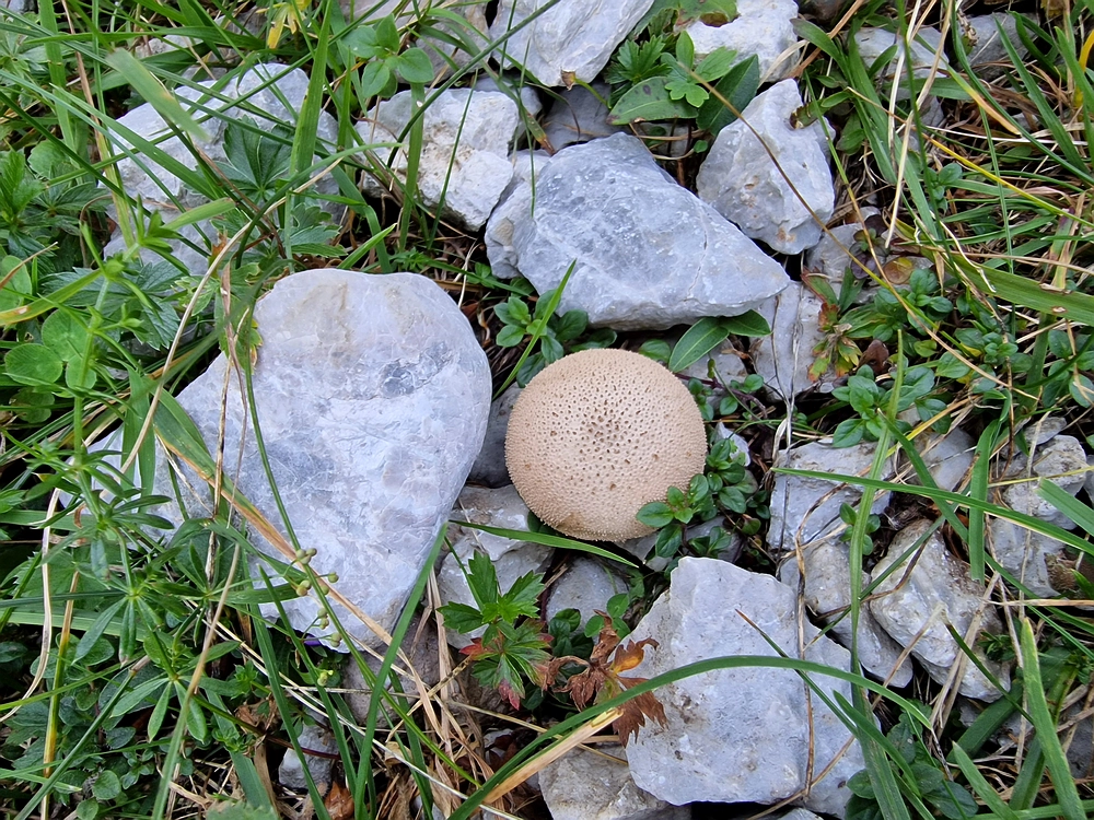 Kofce gora, Veliko Kladivo, 9. 8. 2025