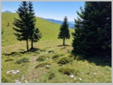Slika_113.webp