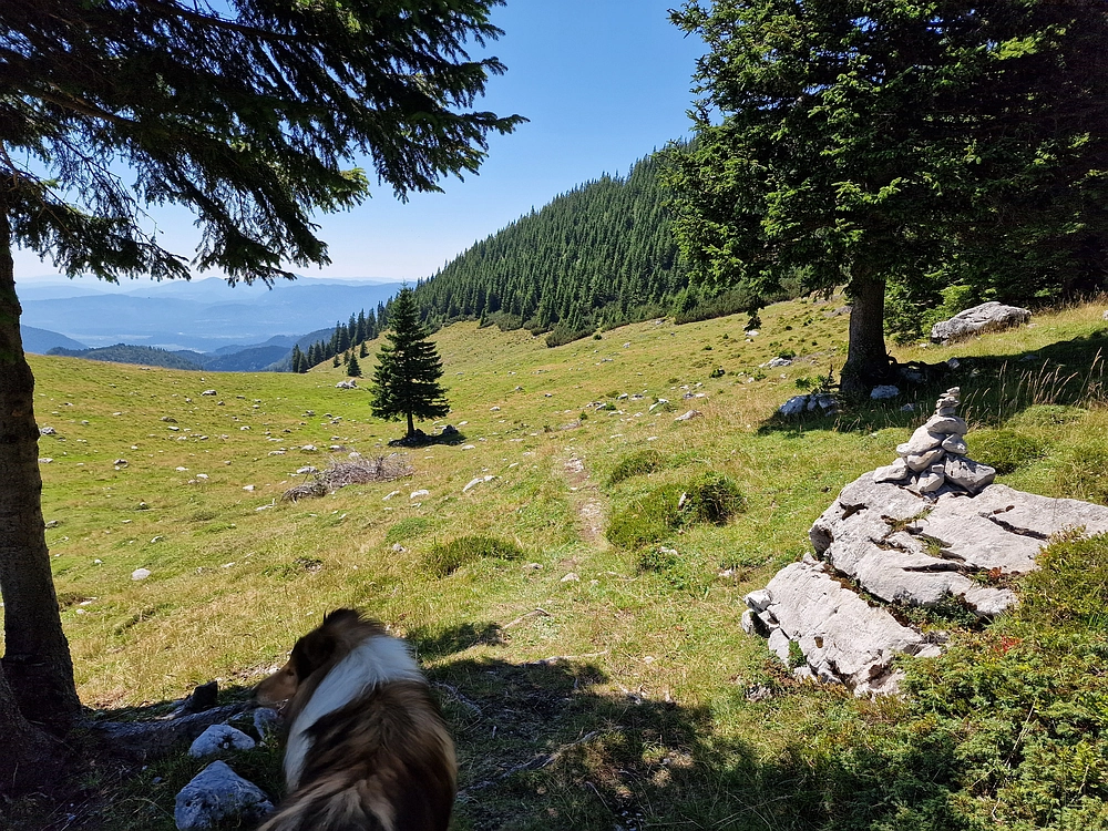 Kofce gora, Veliko Kladivo, 9. 8. 2025