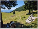Slika_114.webp