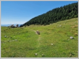 Slika_115.webp