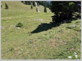 Slika_116.webp