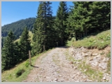Slika_126.webp