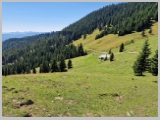 Slika_127.webp