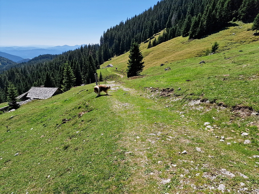 Kofce gora, Veliko Kladivo, 9. 8. 2025