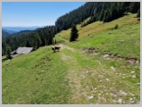 Slika_128.webp