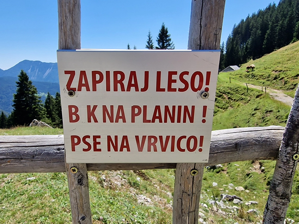 Kofce gora, Veliko Kladivo, 9. 8. 2025