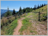 Slika_134.webp