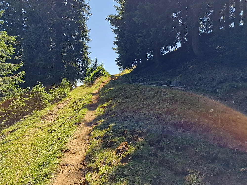 Kofce gora, Veliko Kladivo, 9. 8. 2025