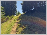 Slika_137.webp