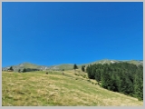 Slika_138.webp