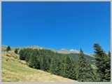 Slika_139.webp