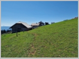 Slika_140.webp