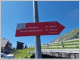 Slika_141.webp