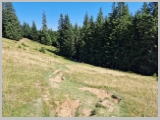 Slika_150.webp