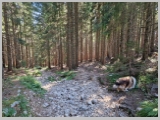 Slika_151.webp