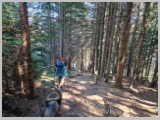 Slika_155.webp