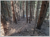 Slika_157.webp
