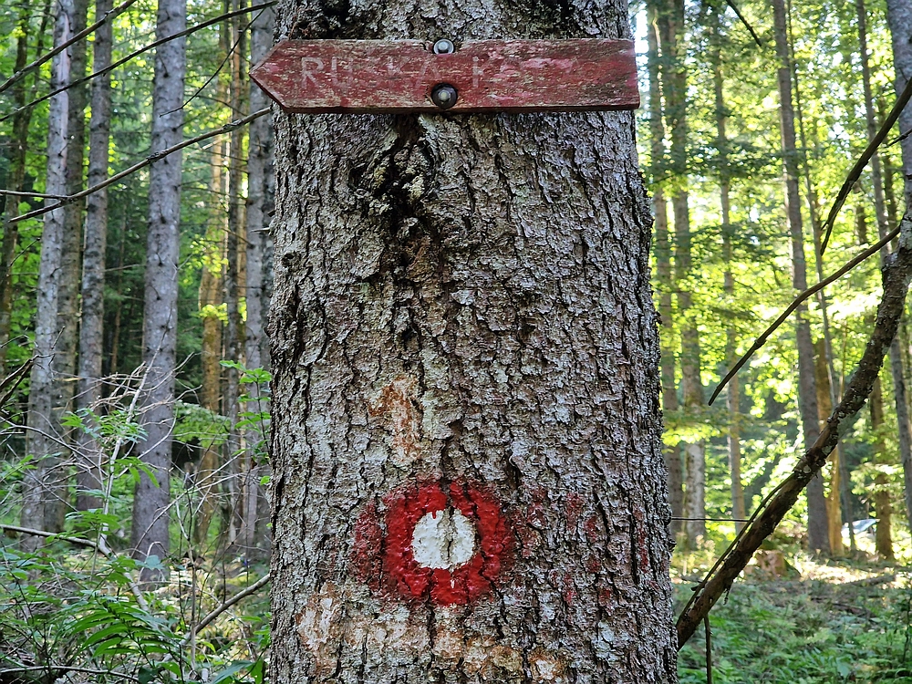 Bajgot - Ruška koča, 15. 8. 2025