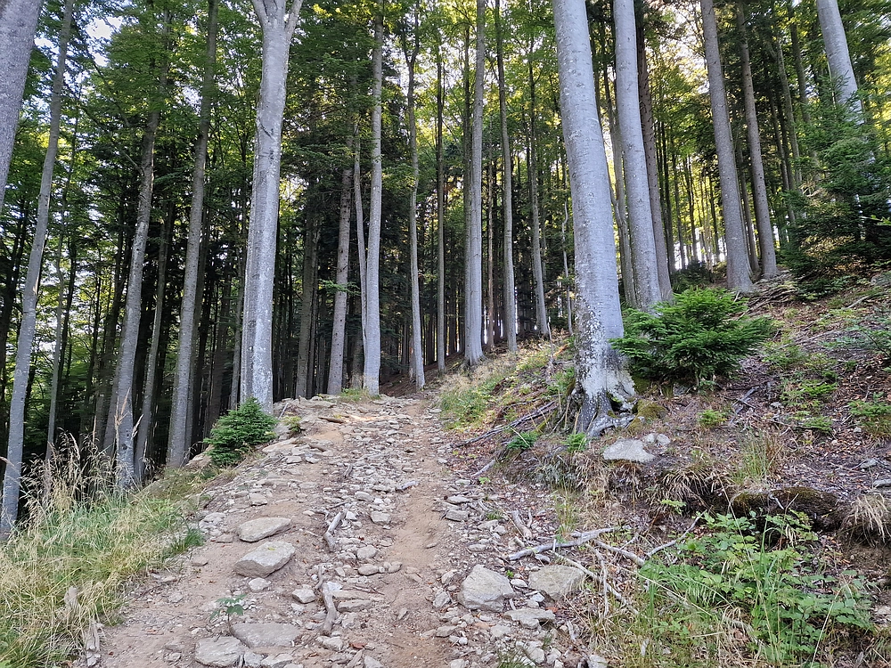 Bajgot - Ruška koča, 15. 8. 2025