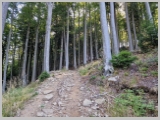 Slika_008.webp