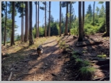 Slika_009.webp
