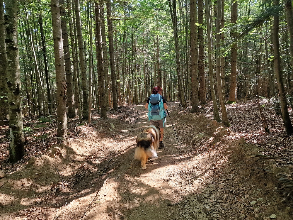 Bajgot - Ruška koča, 15. 8. 2025