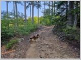 Slika_022.webp