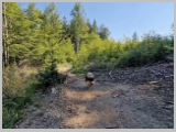 Slika_023.webp