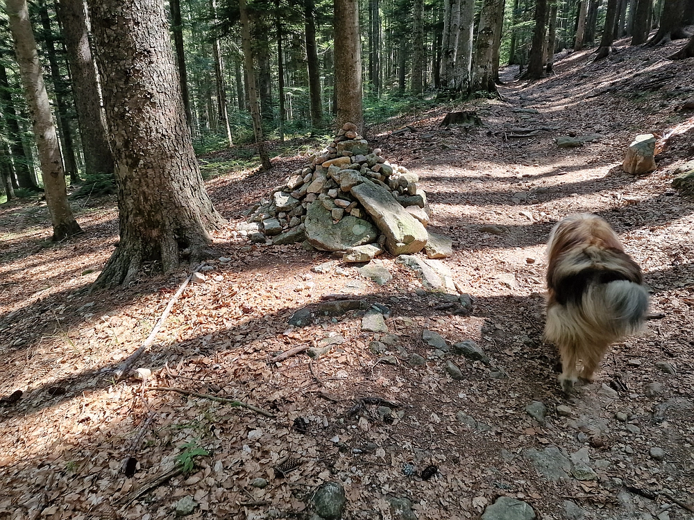 Bajgot - Ruška koča, 15. 8. 2025