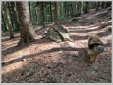 Slika_026.webp