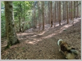 Slika_027.webp