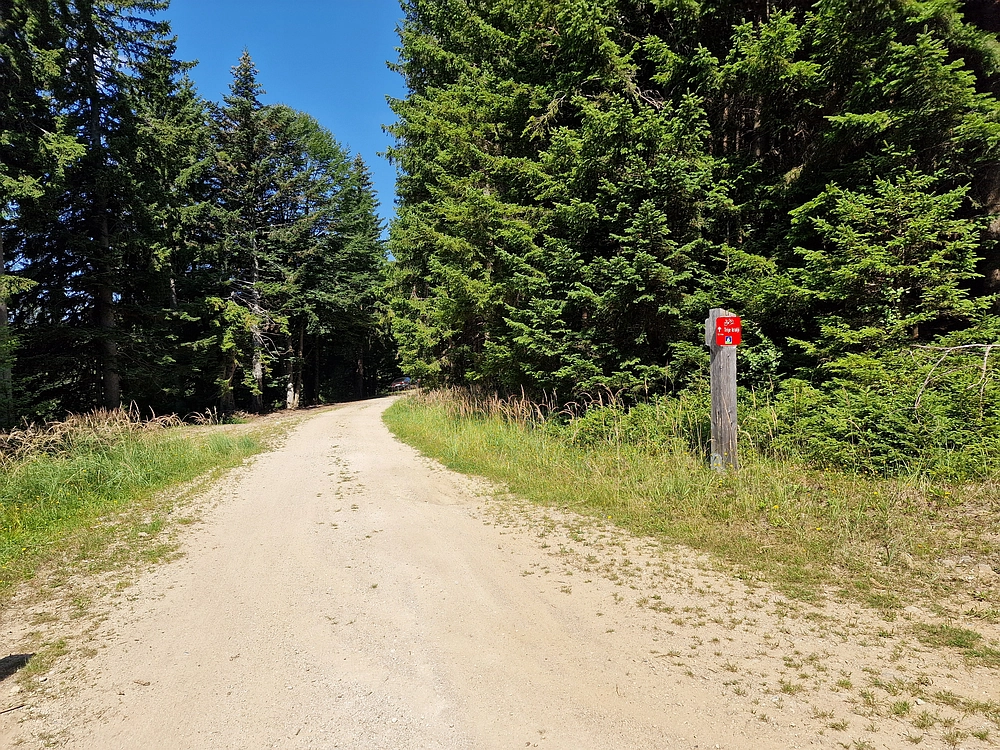 Bajgot - Ruška koča, 15. 8. 2025