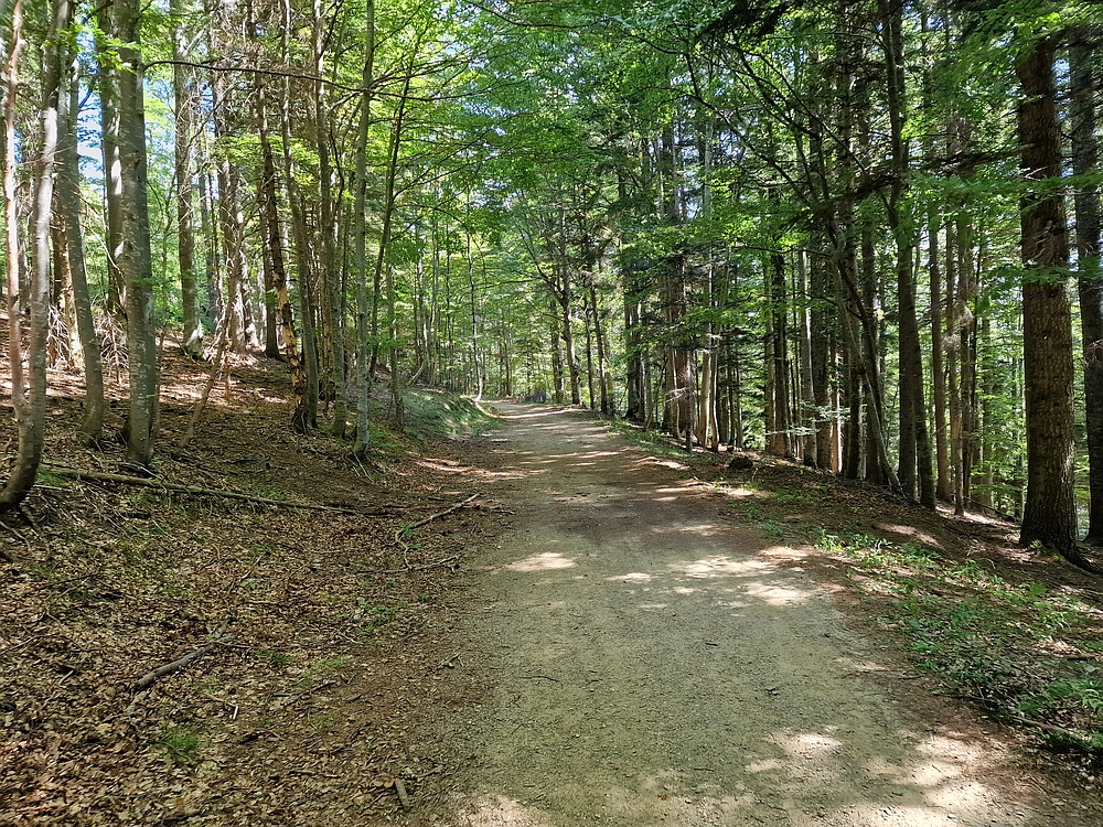 Bajgot - Ruška koča, 15. 8. 2025