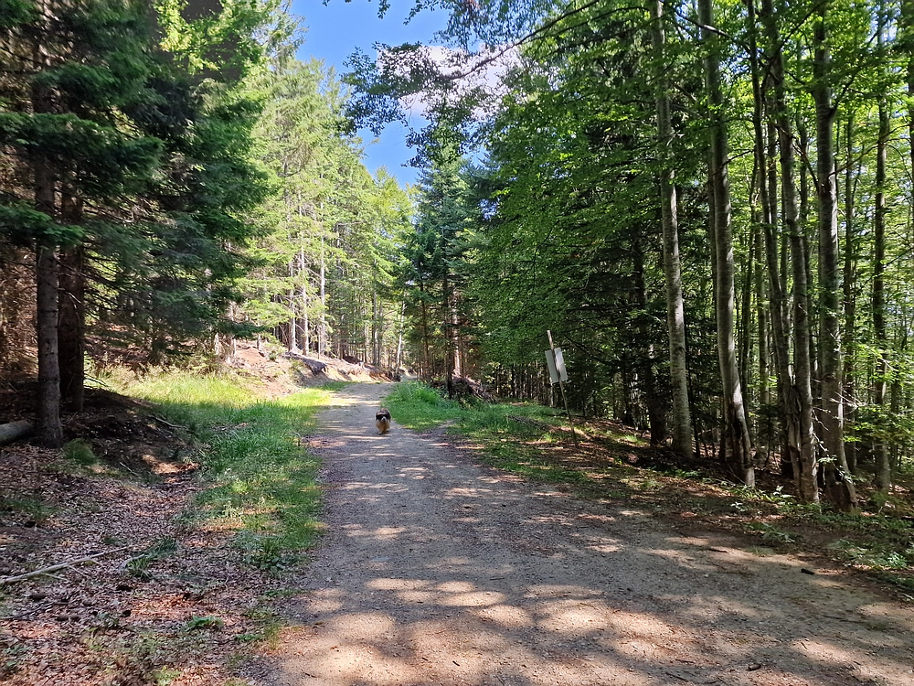 Bajgot - Ruška koča, 15. 8. 2025