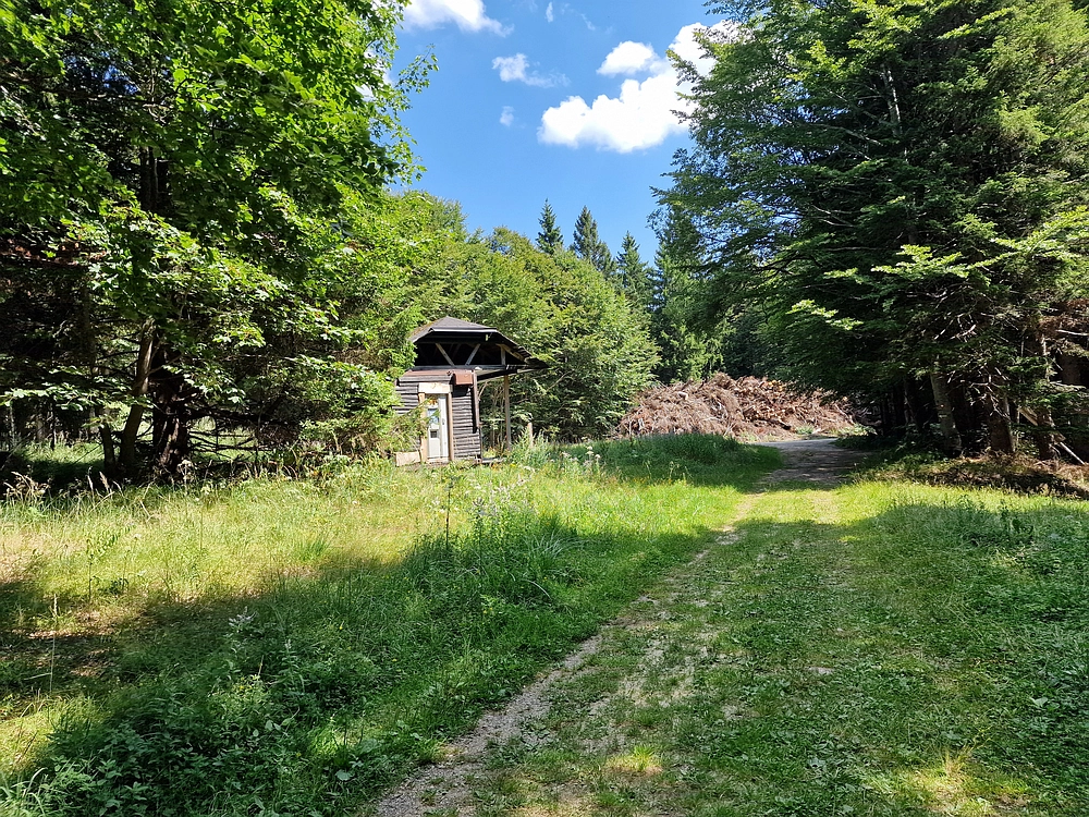 Bajgot - Ruška koča, 15. 8. 2025