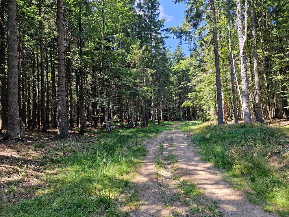 Bajgot - Ruška koča, 15. 8. 2025