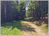 Slika_060.webp