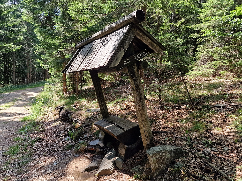 Bajgot - Ruška koča, 15. 8. 2025