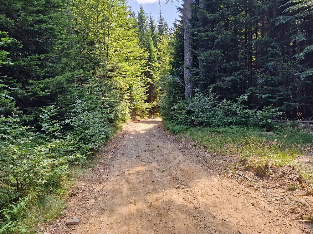 Bajgot - Ruška koča, 15. 8. 2025