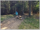 Slika_070.webp